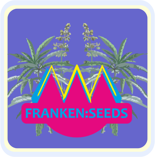 FRANKEN SEEDS HANFSAMEN