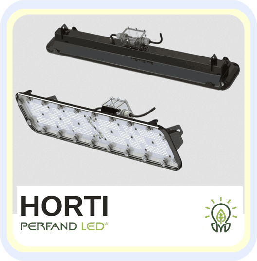 HORTI PERFAND LED
